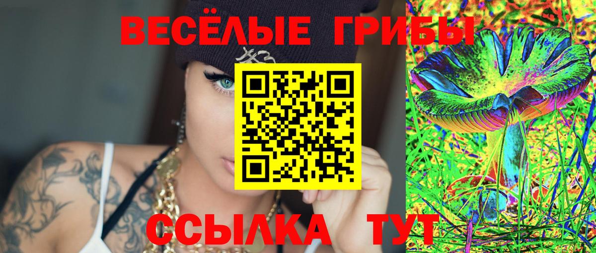 Галлюциногенные грибы Psilocybine cubensis Зеленокумск