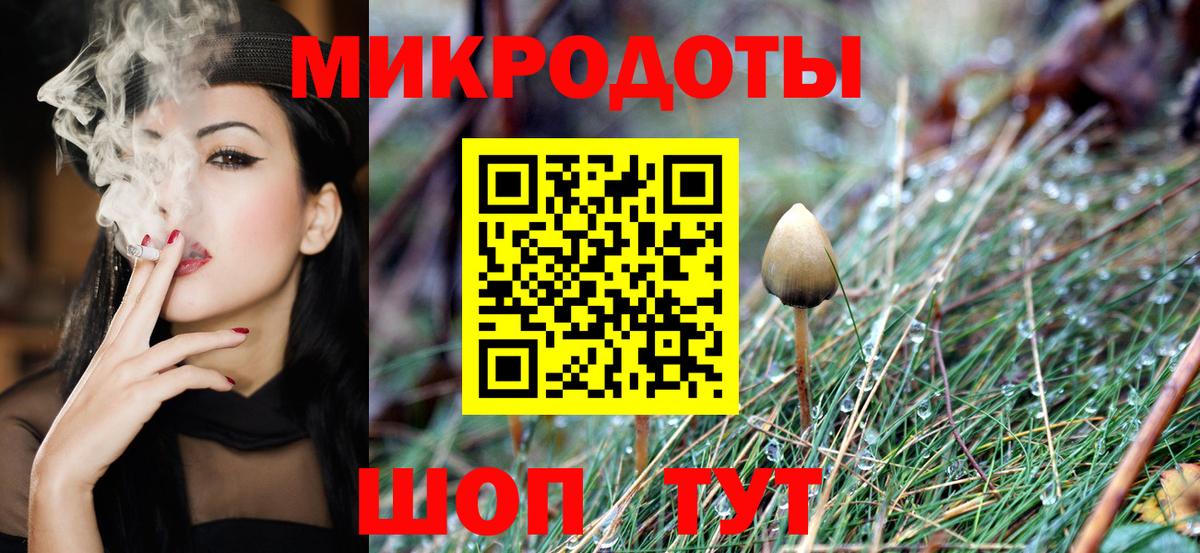 Галлюциногенные грибы Cubensis  Вход с VPN  Зеленокумск 